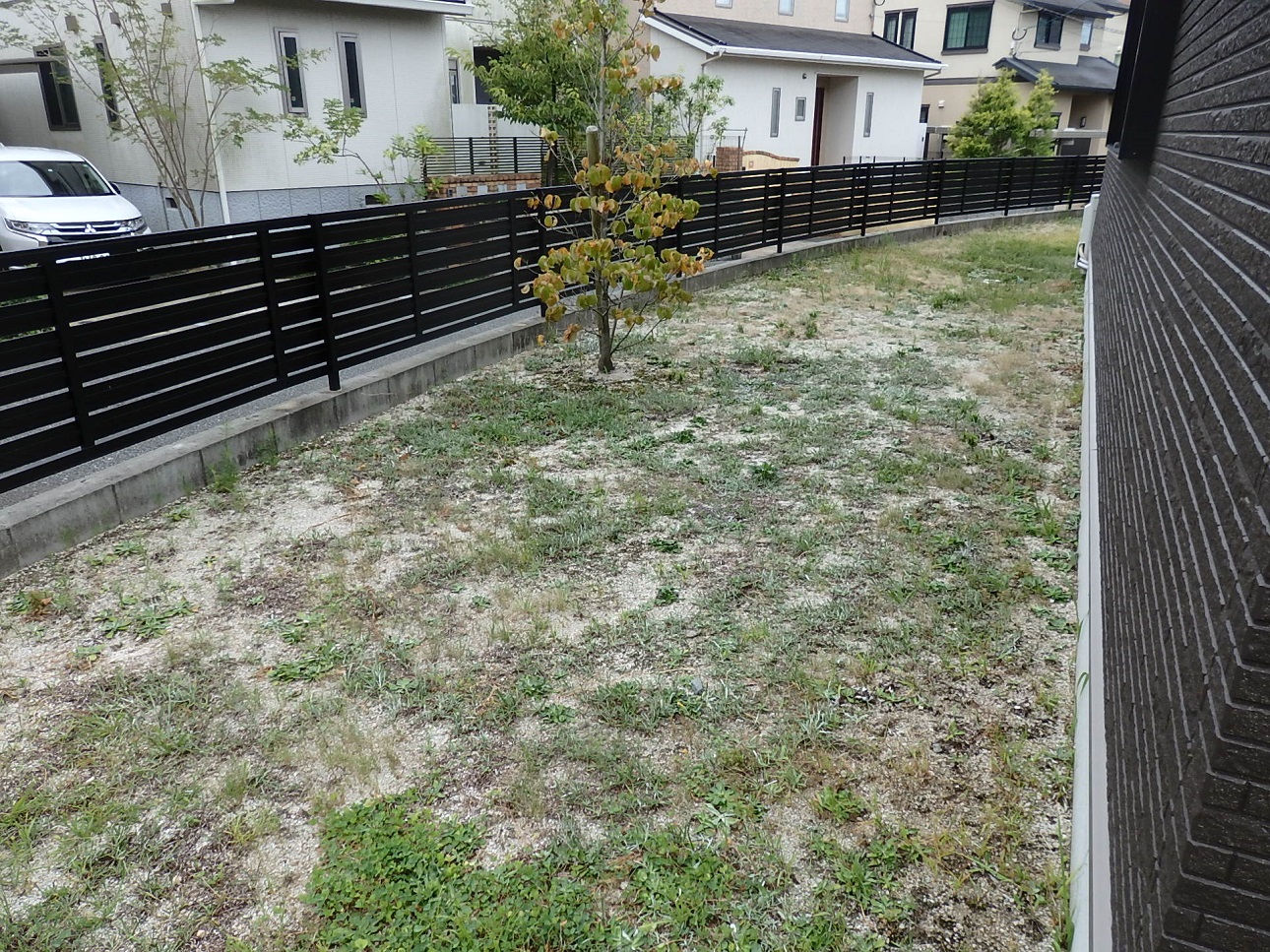 雑草が庭一面に広がってしまったお庭